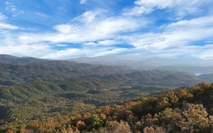 Tract 29R4 Chilhowee Mountain Tr Maryville, TN 37803 - Photo 25