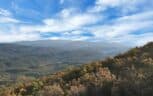 Tract 29R5 Chilhowee Mountain Tr Maryville, TN 37803 - Photo 26