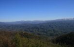 Tract 29R5 Chilhowee Mountain Tr Maryville, TN 37803 - Photo 10