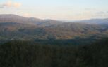Tract 29R5 Chilhowee Mountain Tr Maryville, TN 37803 - Photo 13