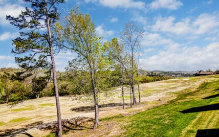 557 Timberline Drive Lenoir City, TN 37772 - Photo 8