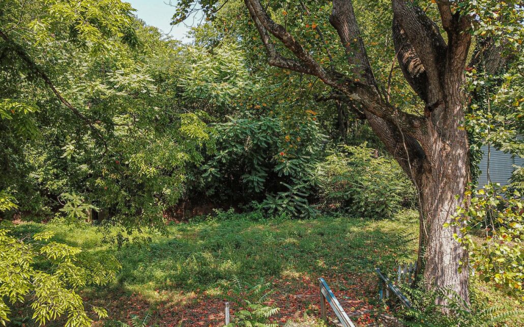 1231 Baker Ave, Knoxville, TN 37920 - Photo 3