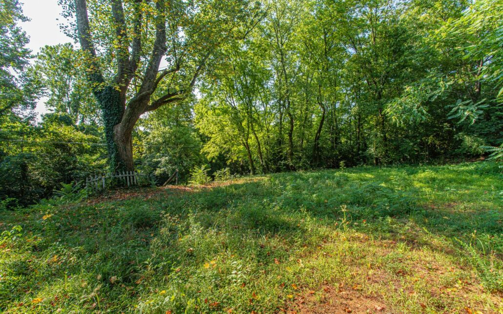 1231 Baker Ave, Knoxville, TN 37920 - Photo 1