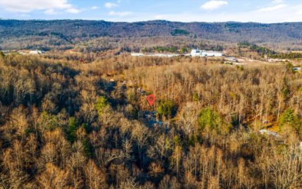 165 Old Patton Lane Harriman, TN 37748 - Photo 8