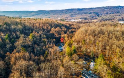 165 Old Patton Lane Harriman, TN 37748 - Photo 5