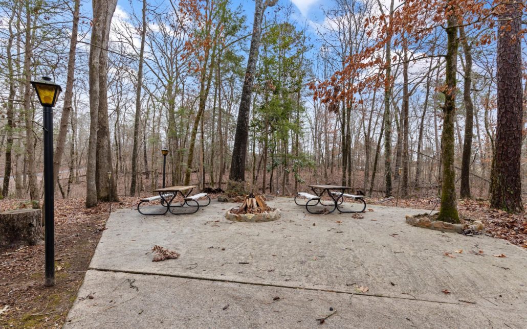 1165 Chula Vista Drive, Friendsville, TN 37737 - Photo 19