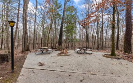 1165 Chula Vista Drive, Friendsville, TN 37737 - Photo 19