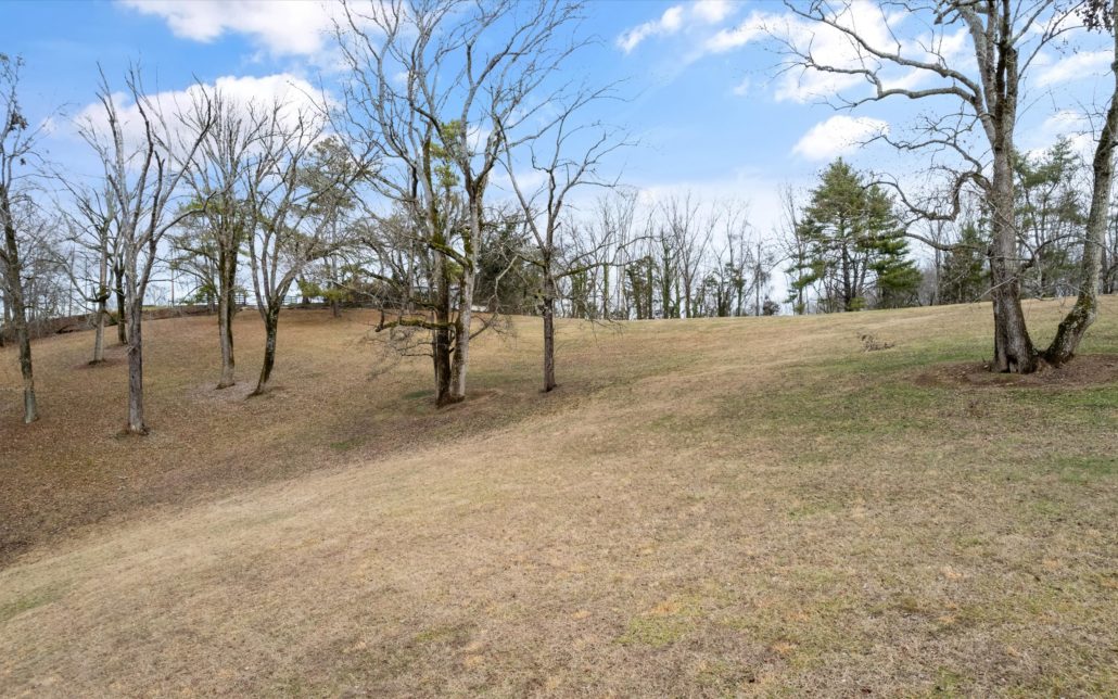 1165 Chula Vista Drive, Friendsville, TN 37737 - Photo 41