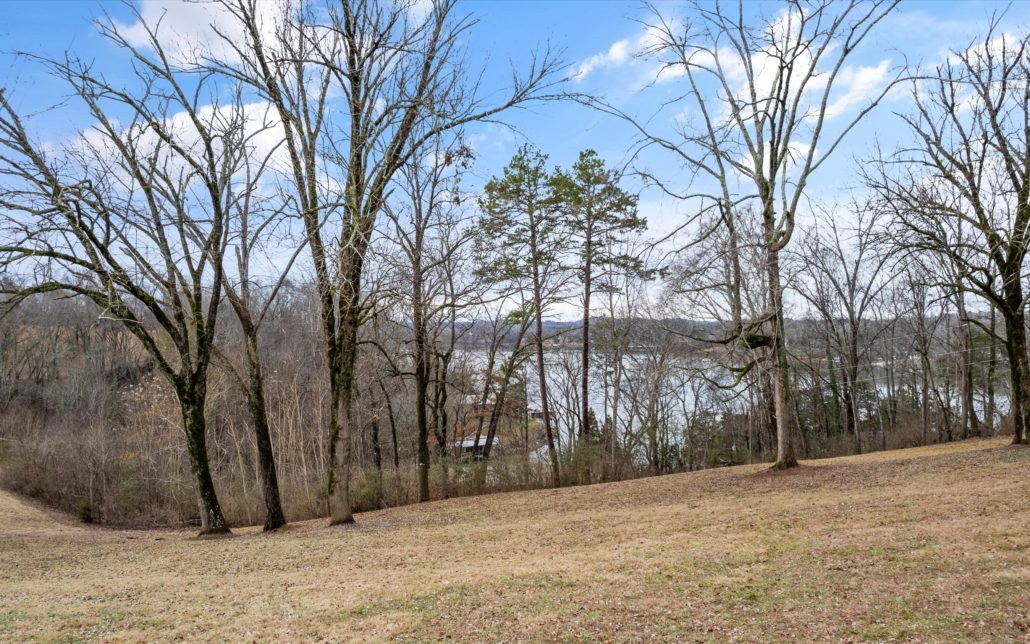 1165 Chula Vista Drive, Friendsville, TN 37737 - Photo 42