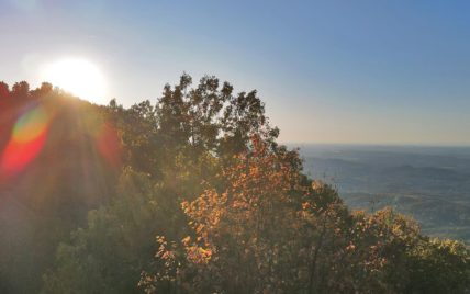 Tract 1 Chilhowee Tr - Photo 2