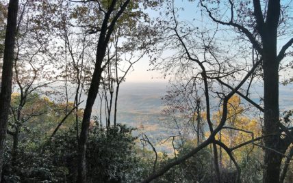 Tract 1 Chilhowee Tr - Photo 5