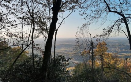 Tract 1 Chilhowee Tr - Photo 8