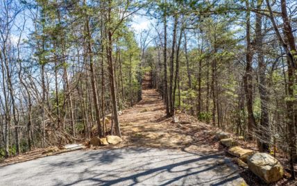 4281 Chilhowee Tr., Maryville, TN 37803 - Photo 6