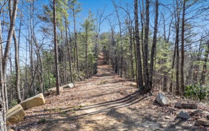 4281 Chilhowee Tr., Maryville, TN 37803 - Photo 7