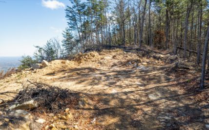 4281 Chilhowee Tr., Maryville, TN 37803 - Photo 8