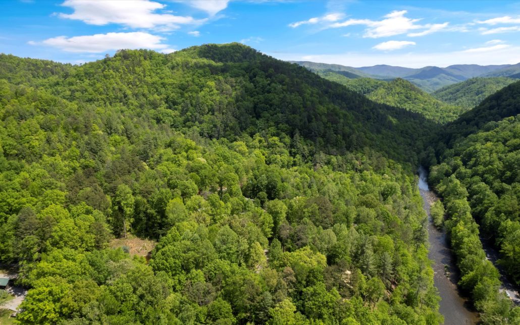 112 Buffalo Springs Way, Townsend, TN 37882 - Photo 7