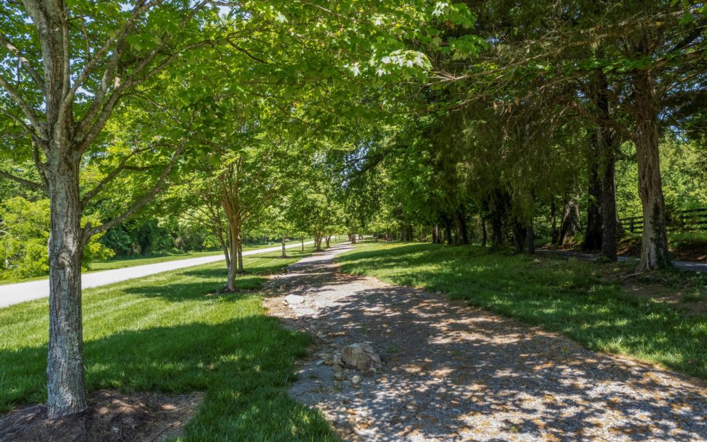 Lot 147 Timberhead Lane, Louisville, TN 37777 - Photo 11
