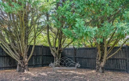 534 Argyle Way, Maryville, TN 37801 - Photo 12