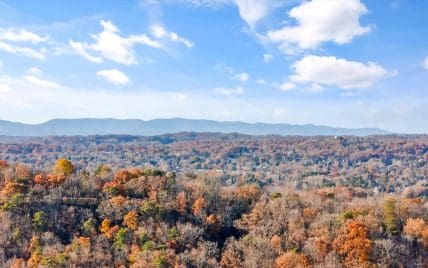 1117 Hiawassee Ave, Knoxville, TN 37917 - Photo 36