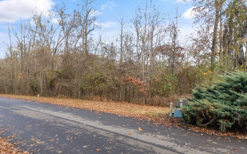 Lot 167 E Shore Drive, Rockwood, TN 37854 - Photo 11