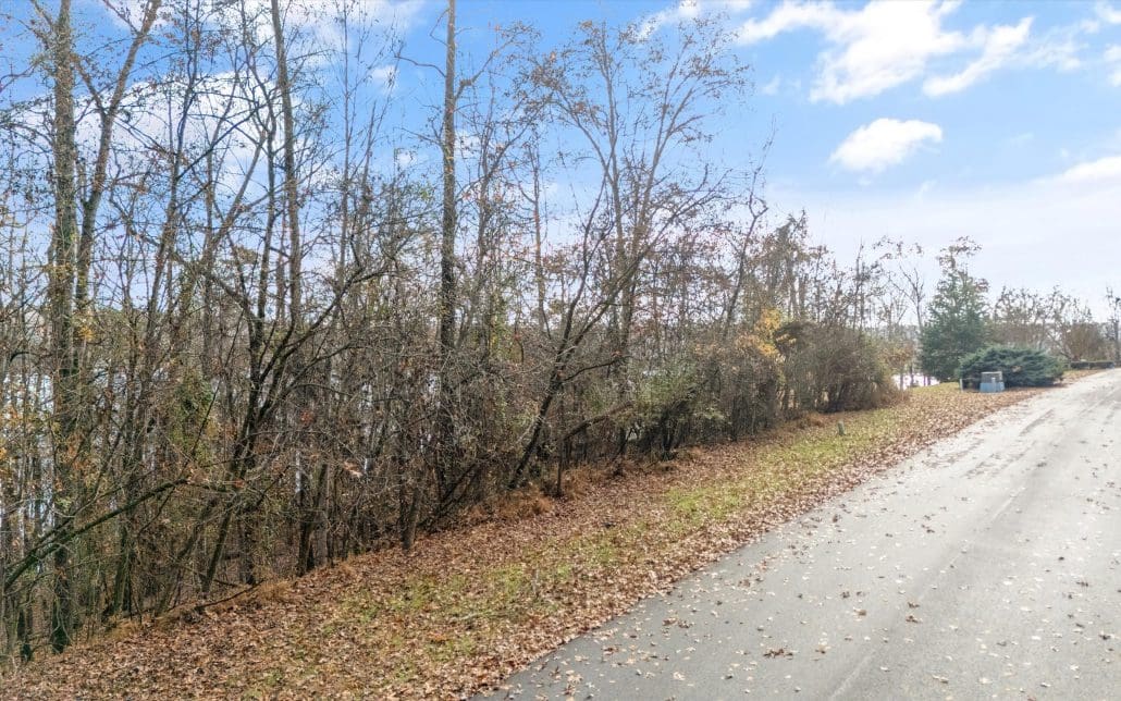 Lot 167 E Shore Drive, Rockwood, TN 37854 - Photo 12