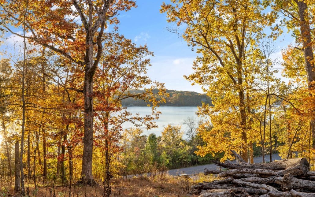 3200 Keller Bend Road, Knoxville, TN 37922 - Photo 16