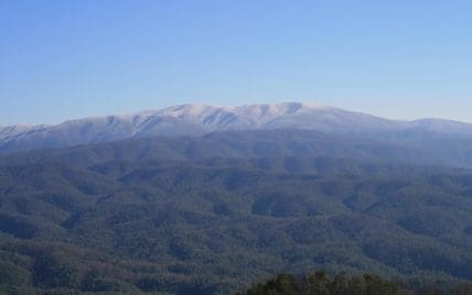 4951 Look Rock Crest Drive, Maryville, TN 37803 - Photo 11