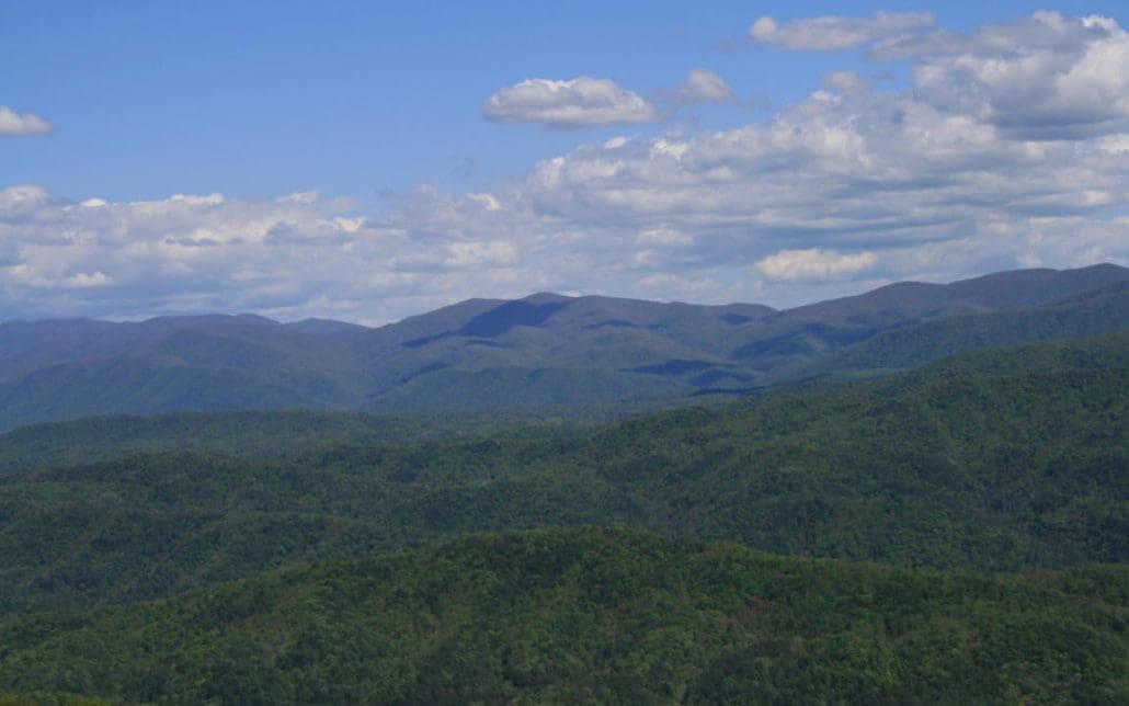 4951 Look Rock Crest Drive, Maryville, TN 37803 - Photo 31