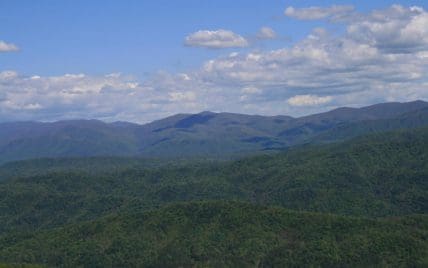 4951 Look Rock Crest Drive, Maryville, TN 37803 - Photo 31