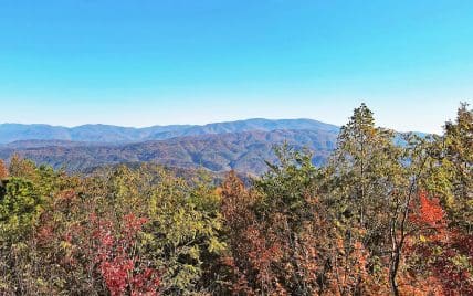 4951 Look Rock Crest Drive, Maryville, TN 37803 - Photo 3