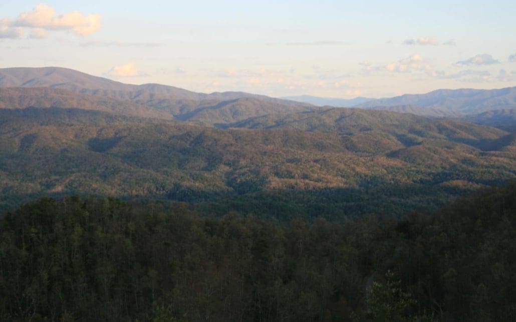 4951 Look Rock Crest Drive, Maryville, TN 37803 - Photo 19