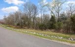Lot 123 E Shore Drive, Rockwood, TN 37854 - Photo 7