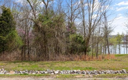 Lot 123 E Shore Drive, Rockwood, TN 37854 - Photo 8