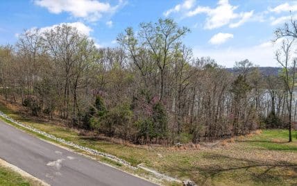 Lot 123 E Shore Drive, Rockwood, TN 37854 - Photo 9