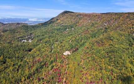 Alpine Drive, Sevierville, TN 37876 - Photo 9