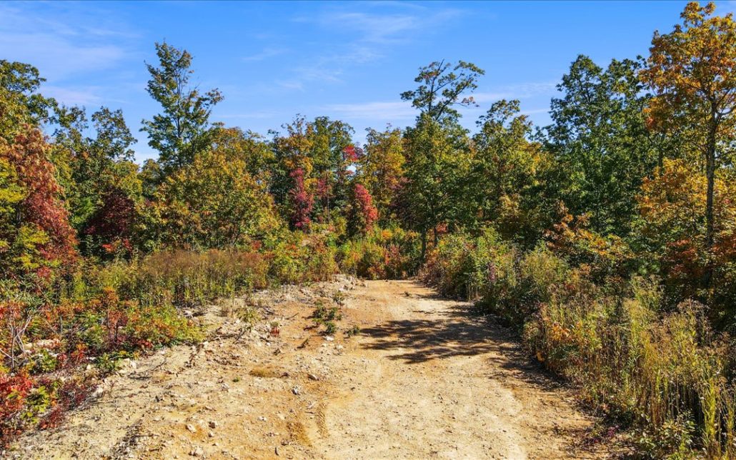 Alpine Drive, Sevierville, TN 37876 - Photo 12