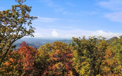 Alpine Drive, Sevierville, TN 37876 - Photo 14