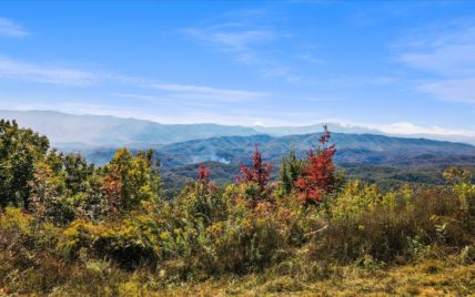 Alpine Drive, Sevierville, TN 37876 - Photo 27