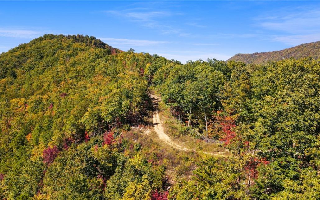 Alpine Drive, Sevierville, TN 37876 - Photo 28