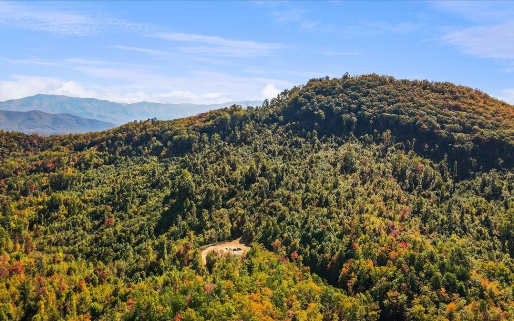 Alpine Drive, Sevierville, TN 37876 - Photo 31