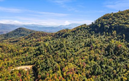 Alpine Drive, Sevierville, TN 37876 - Photo 33