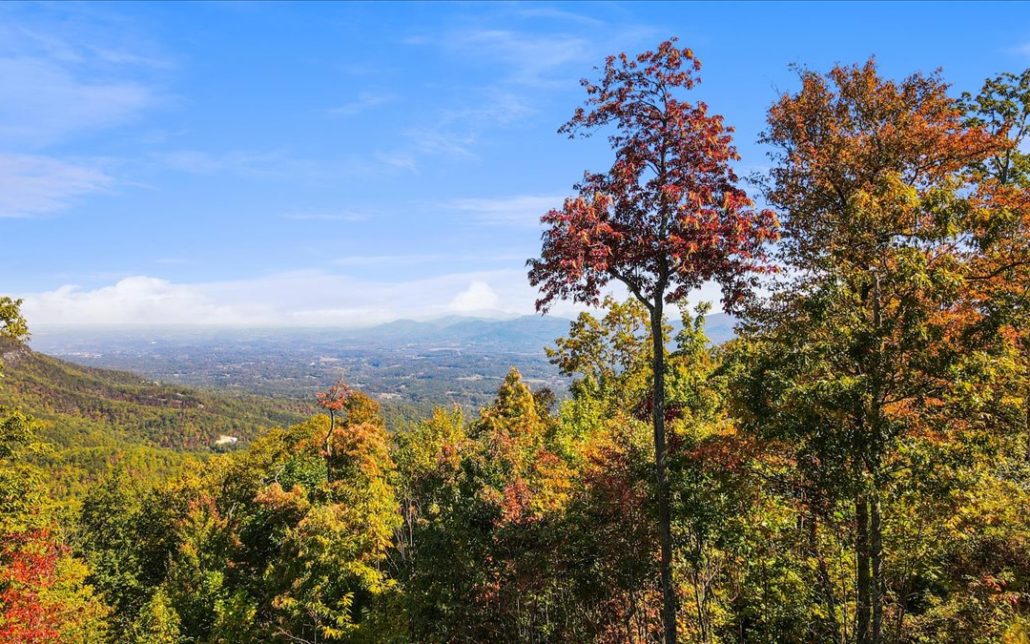 Alpine Drive, Sevierville, TN 37876 - Photo 34