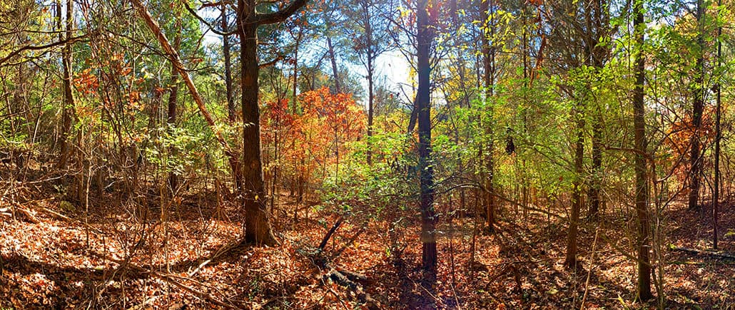 900 Harbour View Drive Lenoir City, TN 37772 - Photo 10